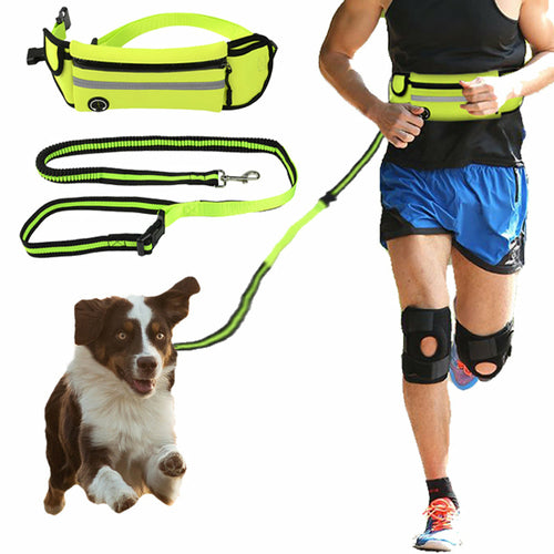 Dog Waist Running Harness - Traction Rope Reflective & Waterproof
