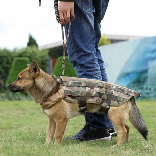 Military Style Dog Leash With Highly Reflective Threads