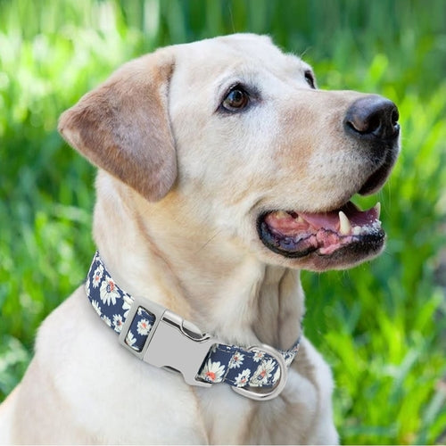 Custom Dog Collar Nylon Floral