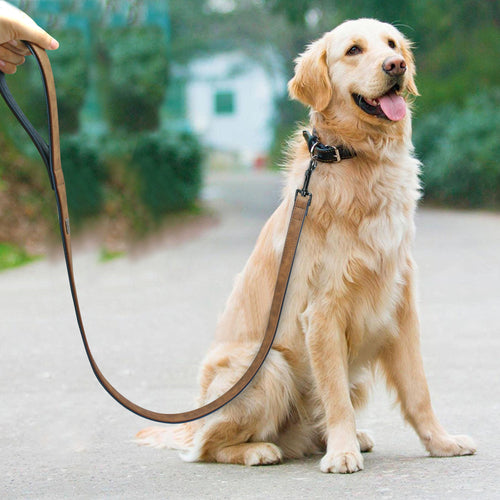 Leather Pet Leash