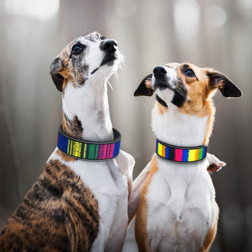 Nylon Reflective Patterned Dog Collar