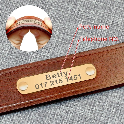 Leather Personalised Dog Collars