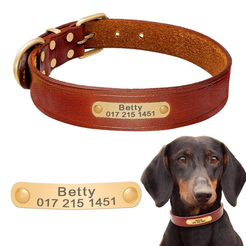 Leather Personalised Dog Collars
