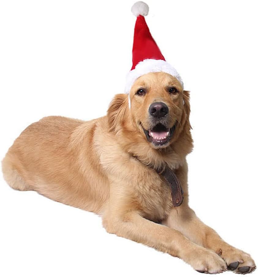 Adjustable 3D Christmas Santa Hat for Big Dogs Pets Holiday Party (Large)