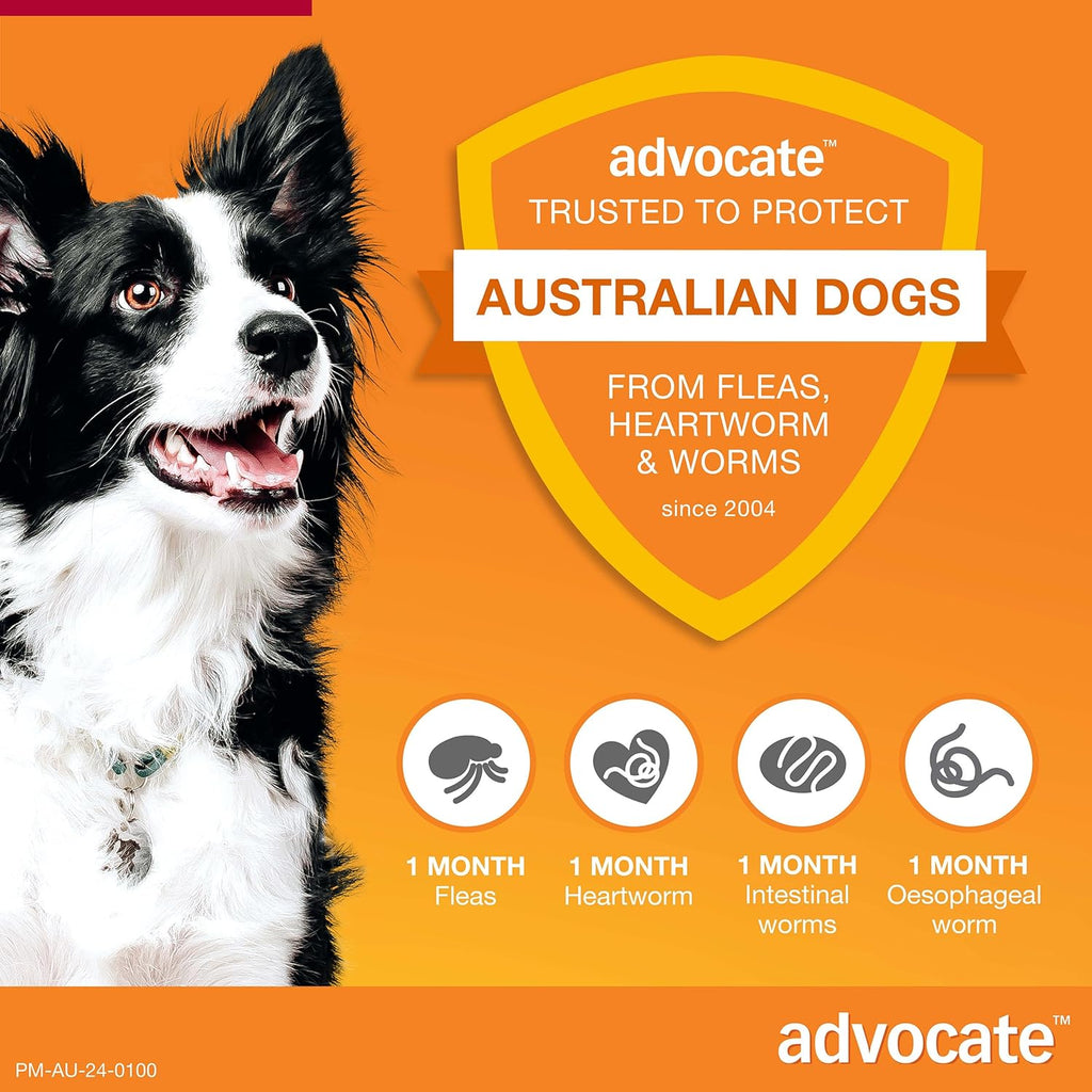 Advocate Dog, Monthly Spot-On Protection from Fleas, Heartworm and Worms, Six Pack Flea Treatment for Large Dogs 10-25 kg, 6 Pack