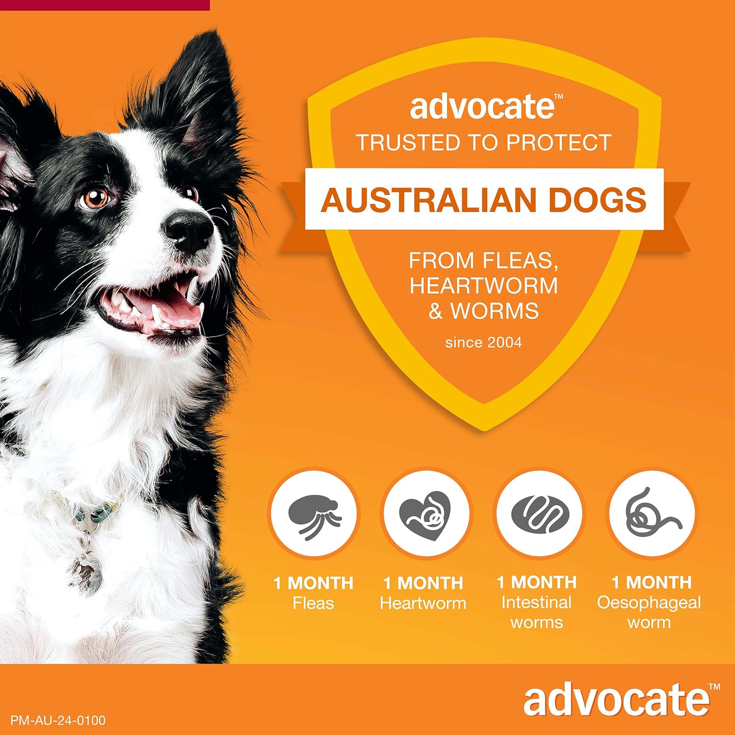 Advocate Dog, Monthly Spot-On Protection from Fleas, Heartworm and Worms, Six Pack Flea Treatment for Large Dogs 10-25 kg, 6 Pack