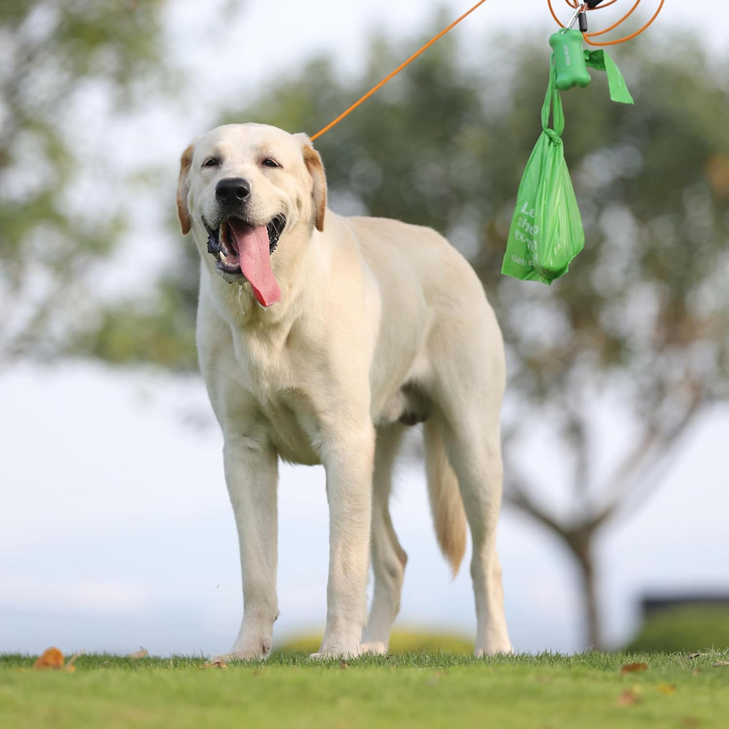 Dog Poop Bags with Handles Sakura Scented 120 Counts 8 Rolls Leak Proof and Extra Thick Waste Bags Refill Rolls for Small Medium Large Dogs and Cats