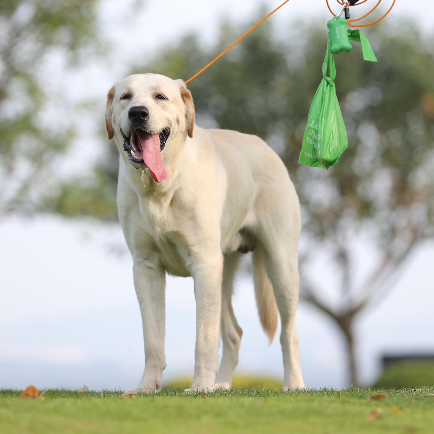 Dog Poop Bags with Handles Sakura Scented 120 Counts 8 Rolls Leak Proof and Extra Thick Waste Bags Refill Rolls for Small Medium Large Dogs and Cats