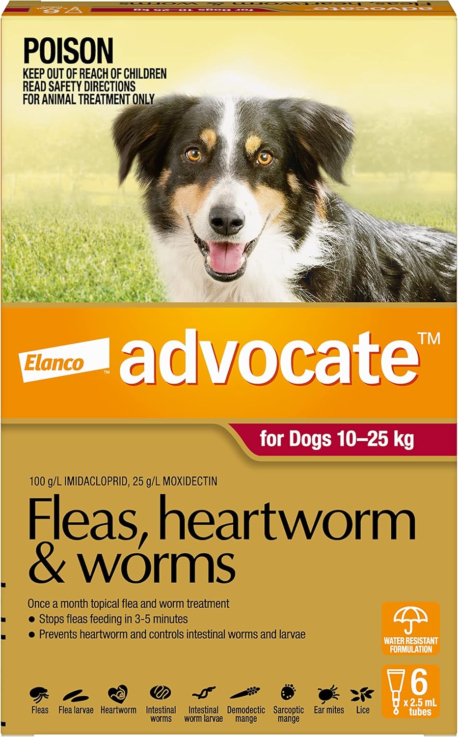 Advocate Dog, Monthly Spot-On Protection from Fleas, Heartworm and Worms, Six Pack Flea Treatment for Large Dogs 10-25 kg, 6 Pack