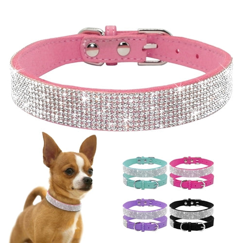 Crystal Puppy Dog Collar