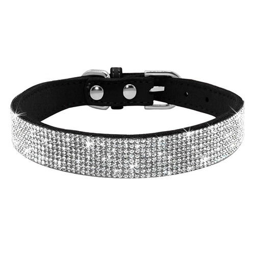 Crystal Puppy Dog Collar