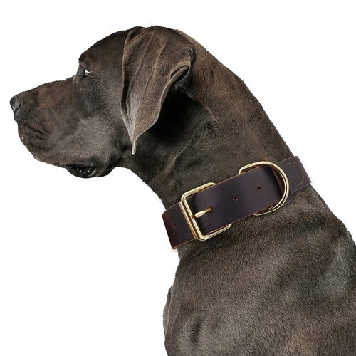 Soft Leather Dog Collar