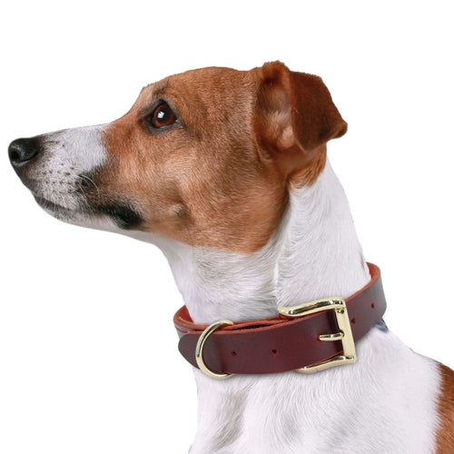 Soft Leather Dog Collar