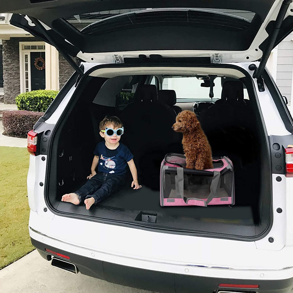 Spacious Soft-Sided Pet Carrier