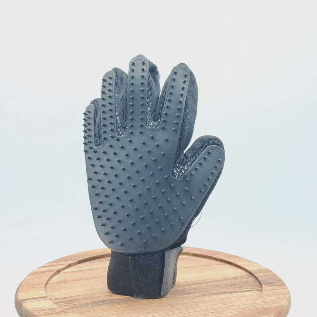 Grooming Glove